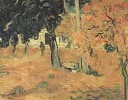 Vincent Van Gogh The Garden of Saint-Paul Hospital (nn04) oil painting picture wholesale